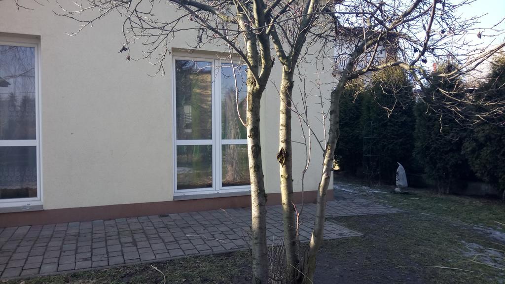 Hajduczek Apartment